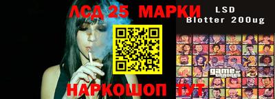 стафф Кингисепп