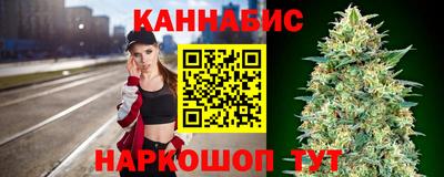 стафф Кингисепп