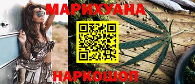 стафф Кингисепп