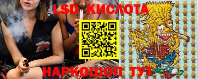 стафф Кингисепп