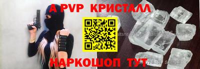 стафф Кингисепп