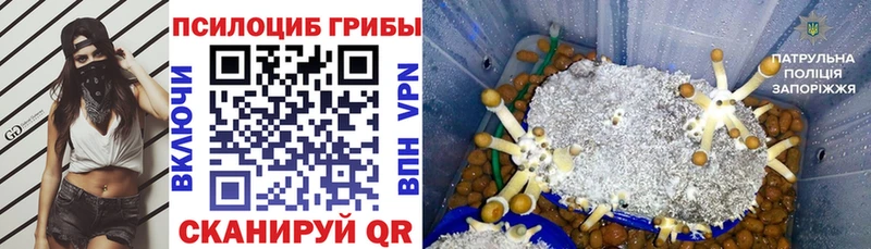 Галлюциногенные грибы мицелий  Кострома 