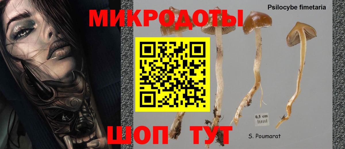 Кострома  Галлюциногенные грибы GOLDEN TEACHER  наркотики  Галлюциногенные грибы Cubensis  Вход с VPN 